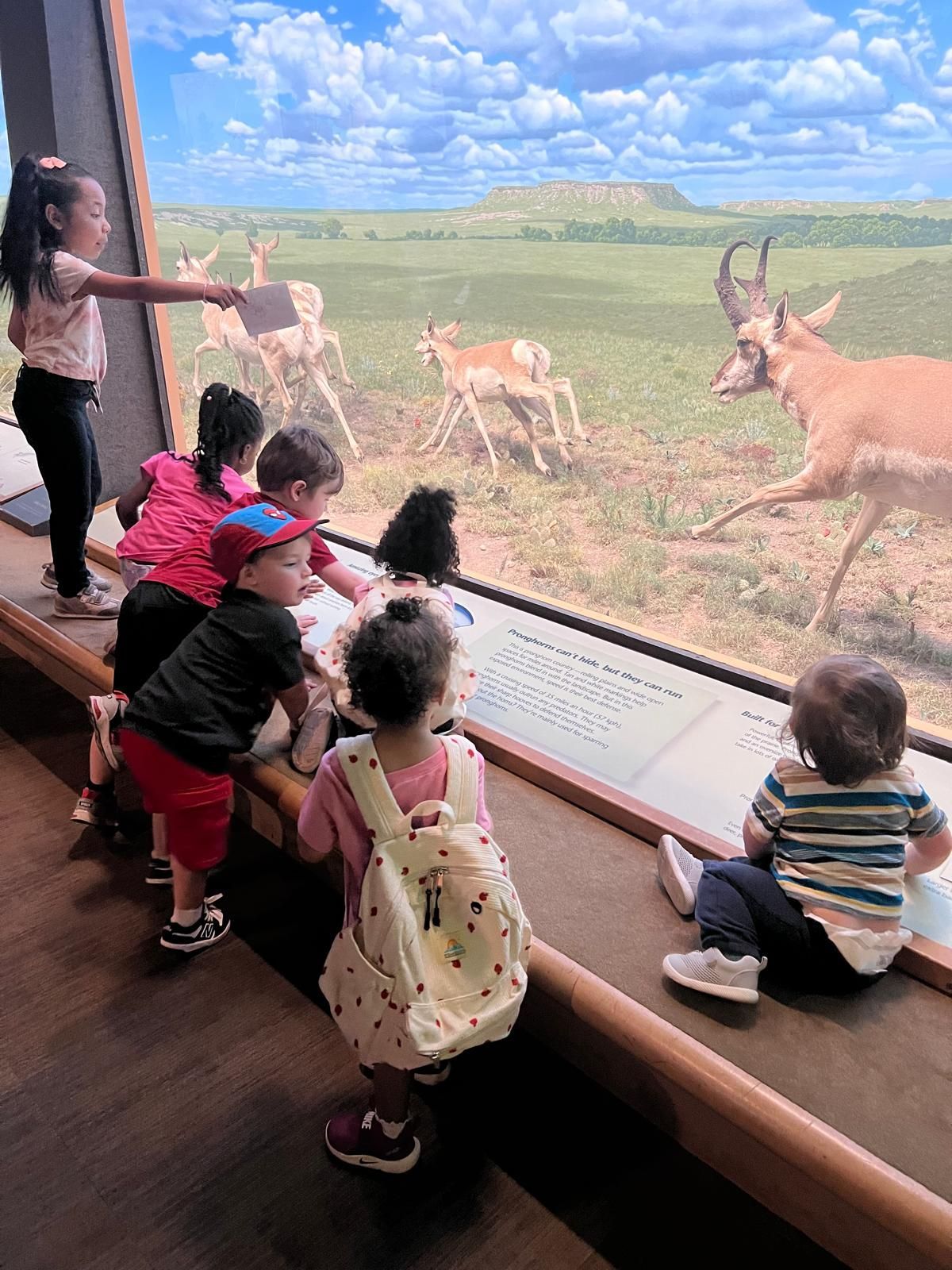 Children watching antelope in a zoo exhibit through a large glass window.
