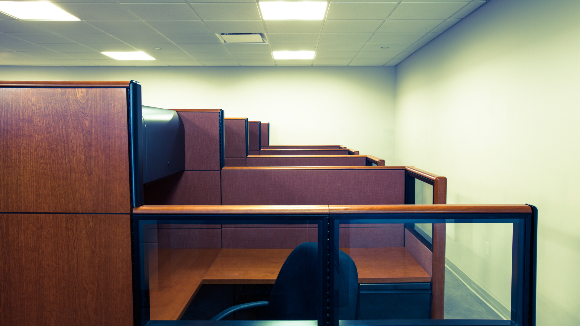 Office furniture assembly in Lewes