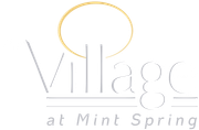 Logo for Village at Mint Spring, text below gold circle and angled