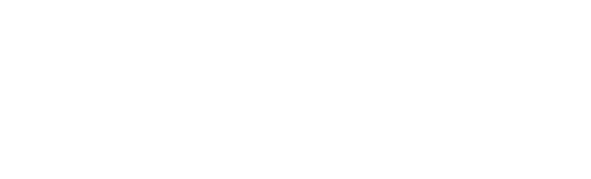 Blank white image with a faint horizontal gray line near the top and a thin black line at the bottom
