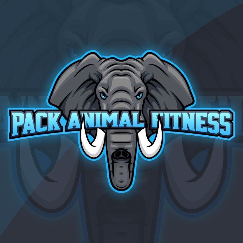 Pack Animal Fitness logo with a gray elephant and blue neon text on a dark background