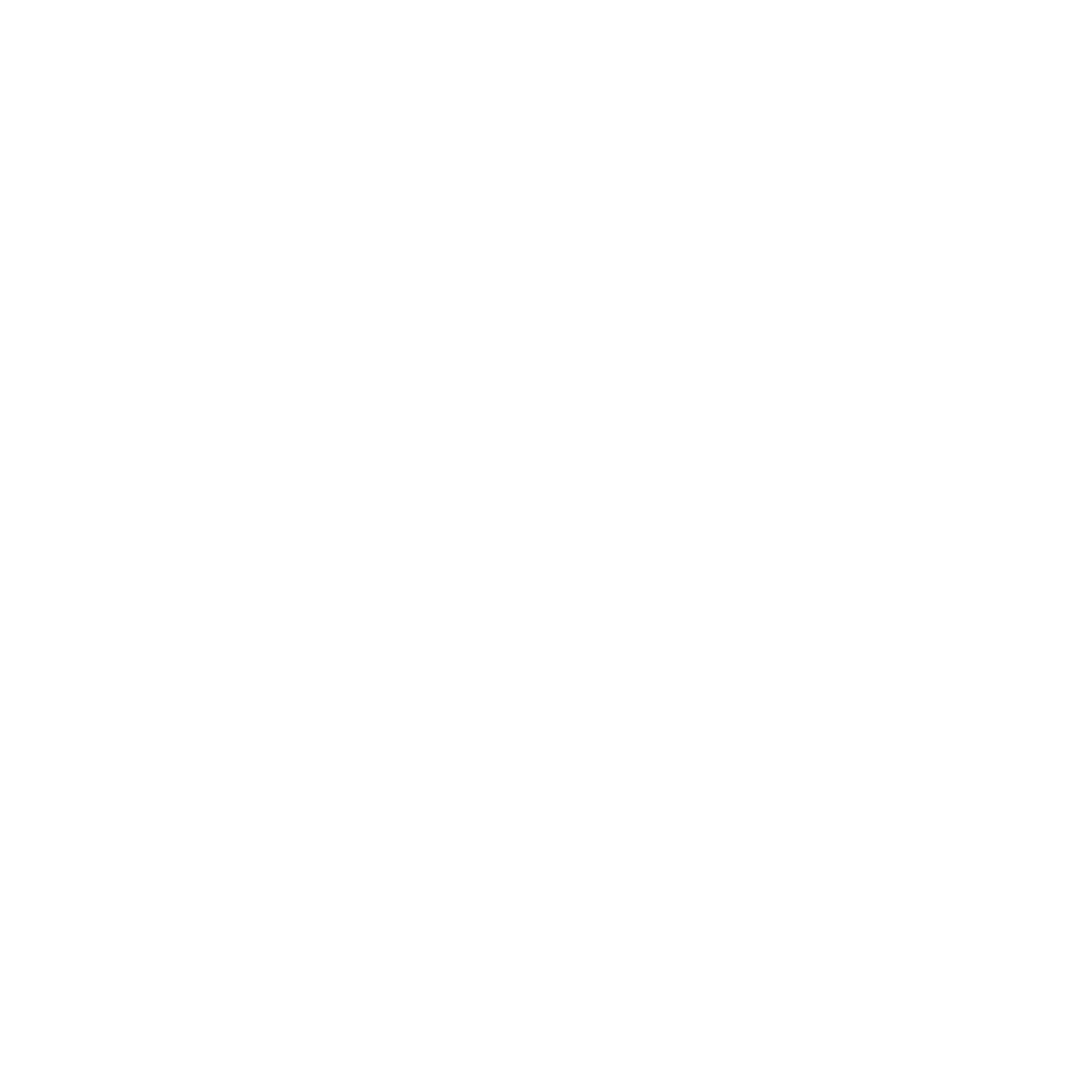 Blank white image