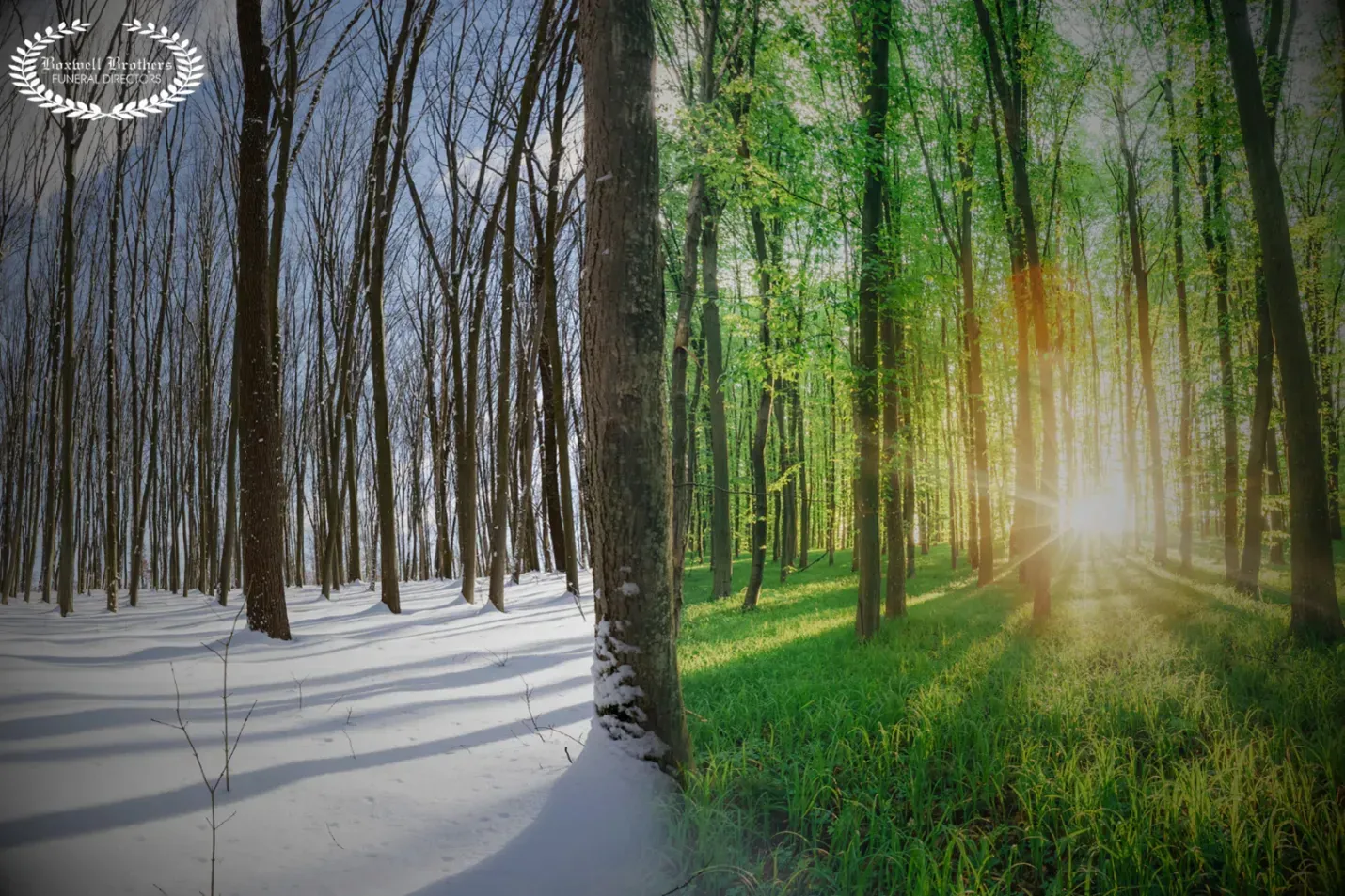 the seasons of grief