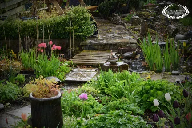 a garden after a storm