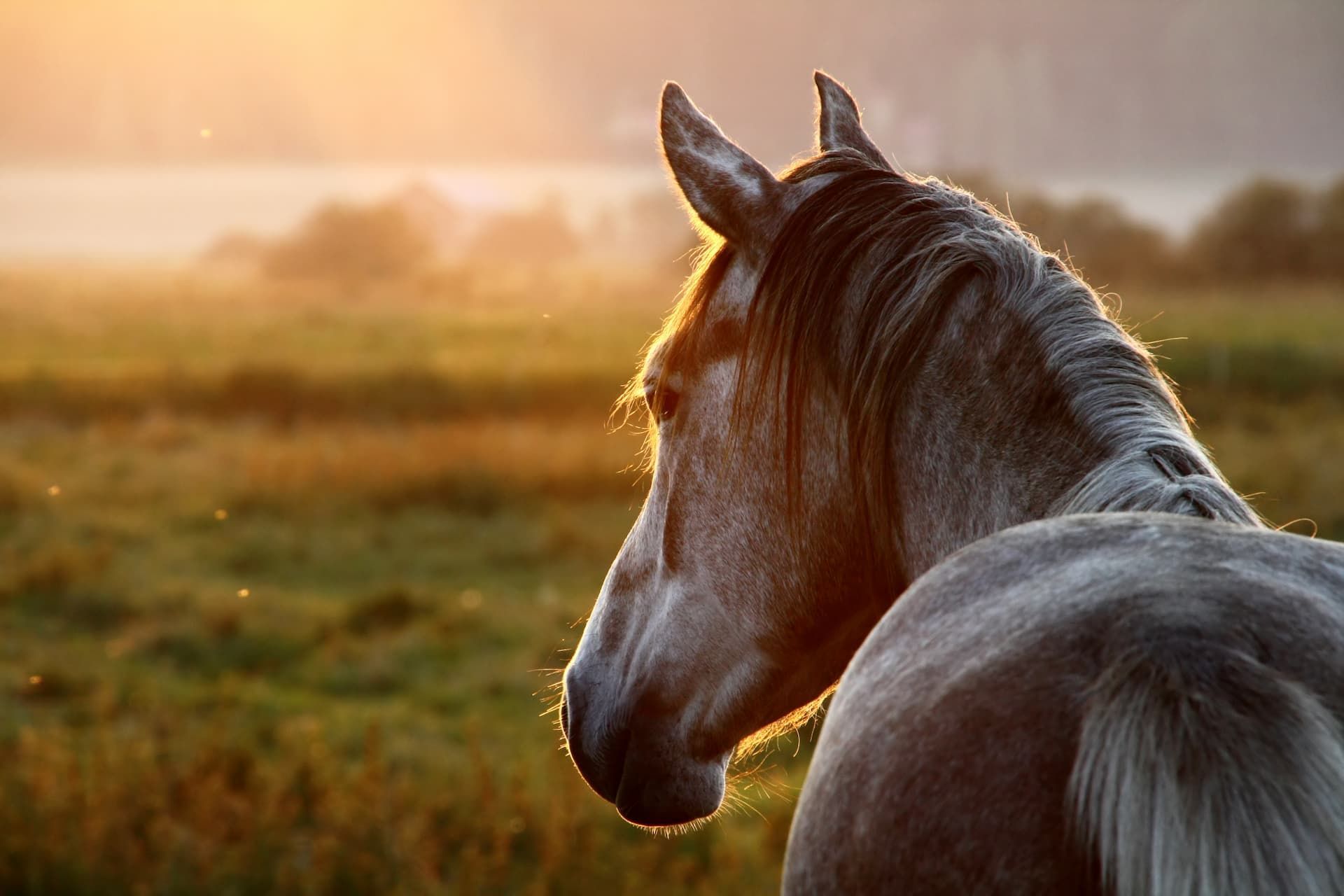 peaceful and serene image
