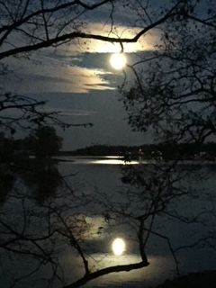 Full moon reflecting on a dark lake, framed by silhouetted tree branches.