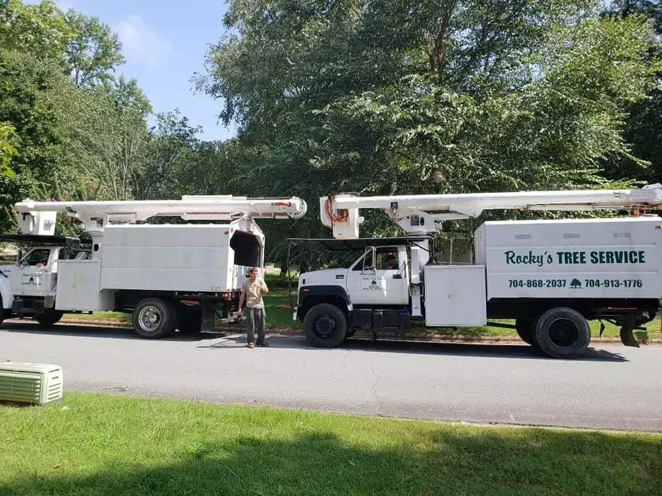 Two white trucks with extended booms, Rocky's Tree Service, parked on grass. Workers in between.