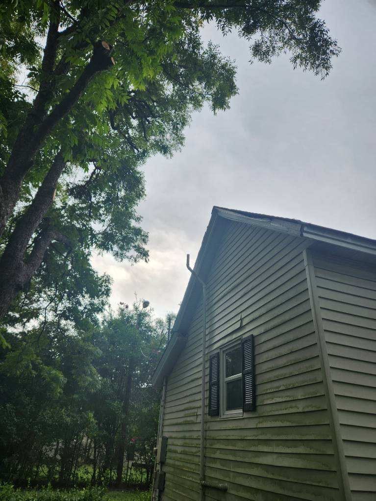 A wooden house with green siding, a window with shutters, and a cloudy sky, trees on the left.