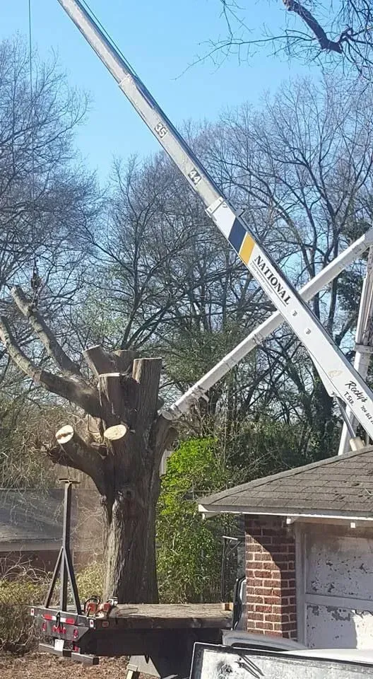 Tree being trimmed with a crane in front of a brick building.