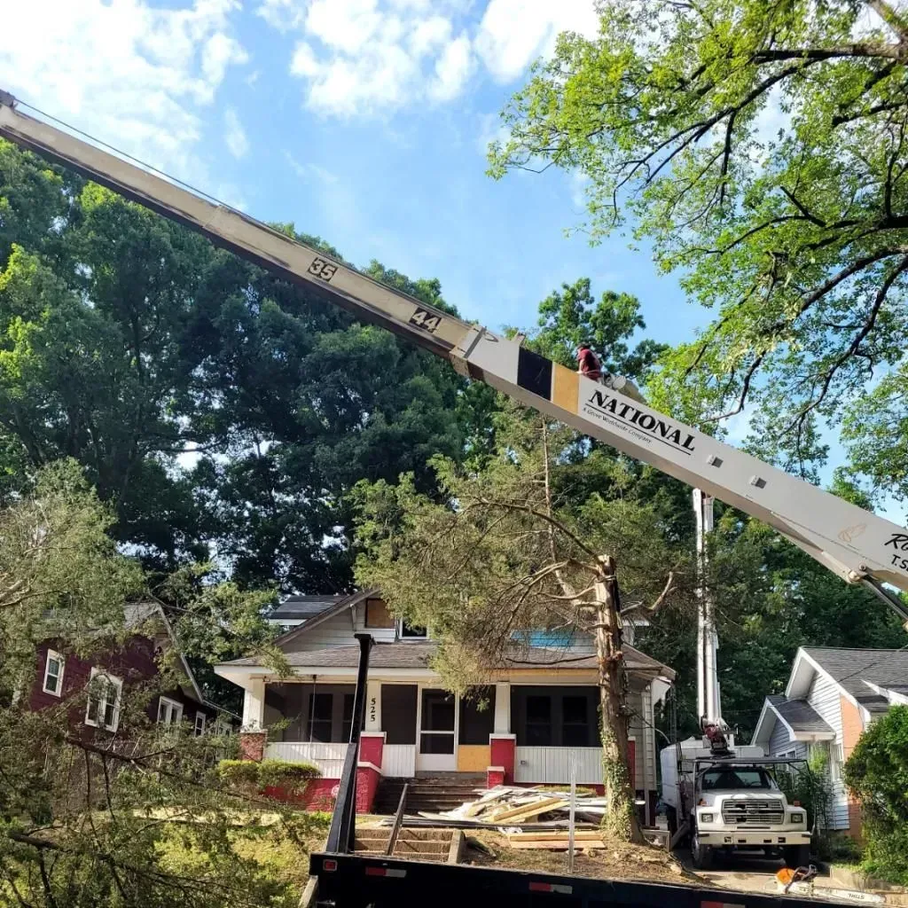A tree service truck with a boom is removing a tree near a house on a sunny day.