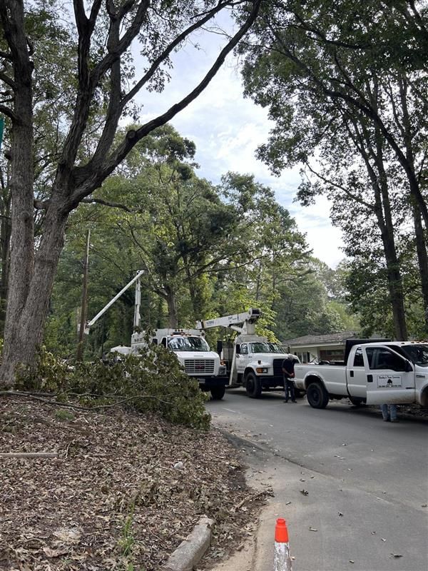 Utility trucks trimming trees near a residential area. One truck has a raised arm.