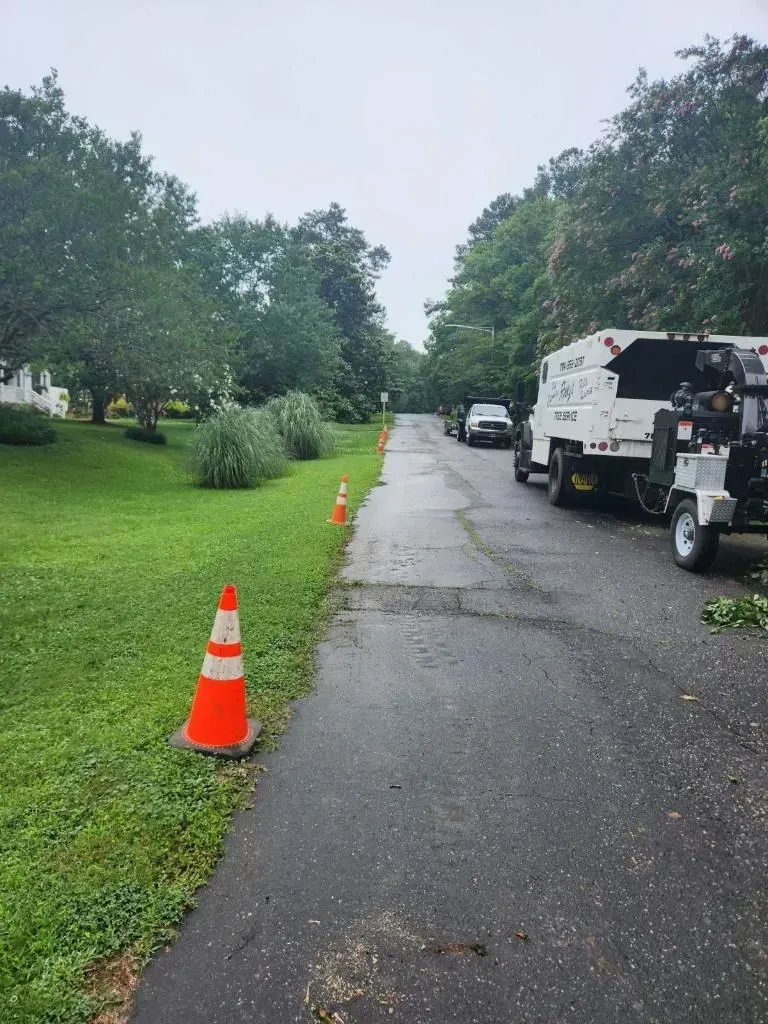 Road work in progress. Orange cones line road beside green grass. Tree service truck parked; cloudy sky.