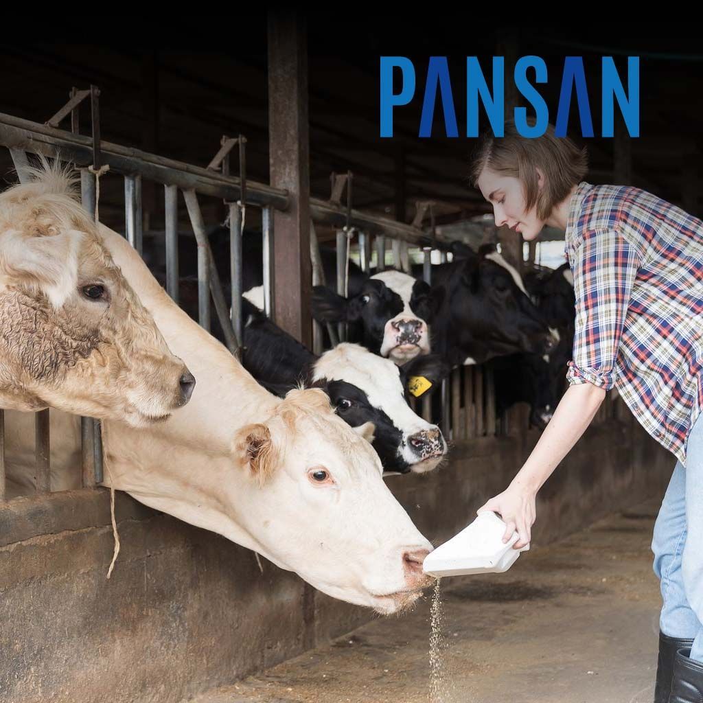 PANSAN Lebendhefe