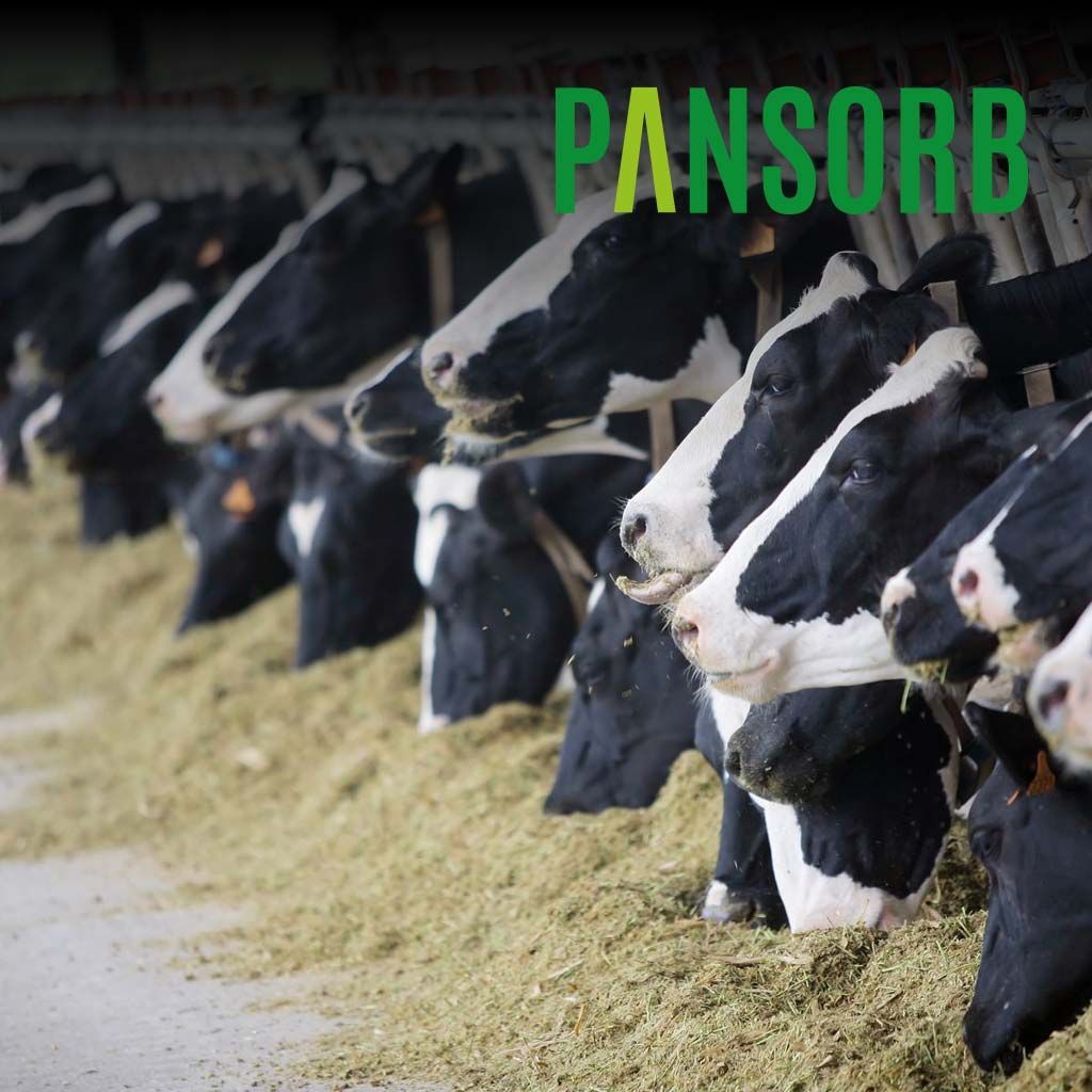 PANSORB - Mykotoxinbinder