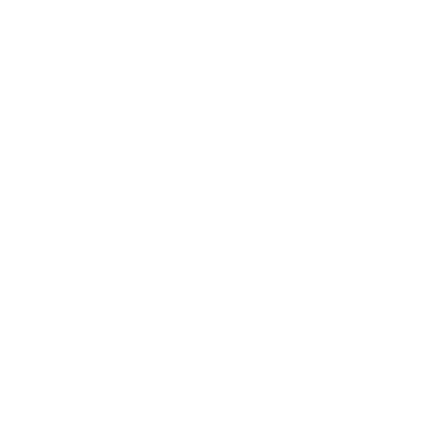 Boise SEO Services