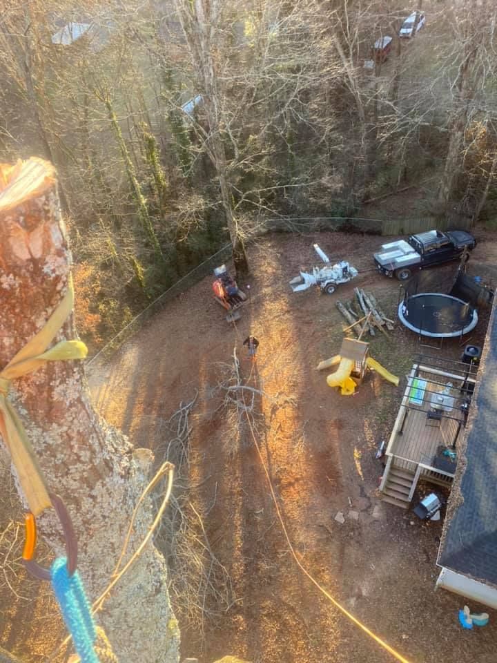 An aerial view of a backyard with a tree stump and a playground.