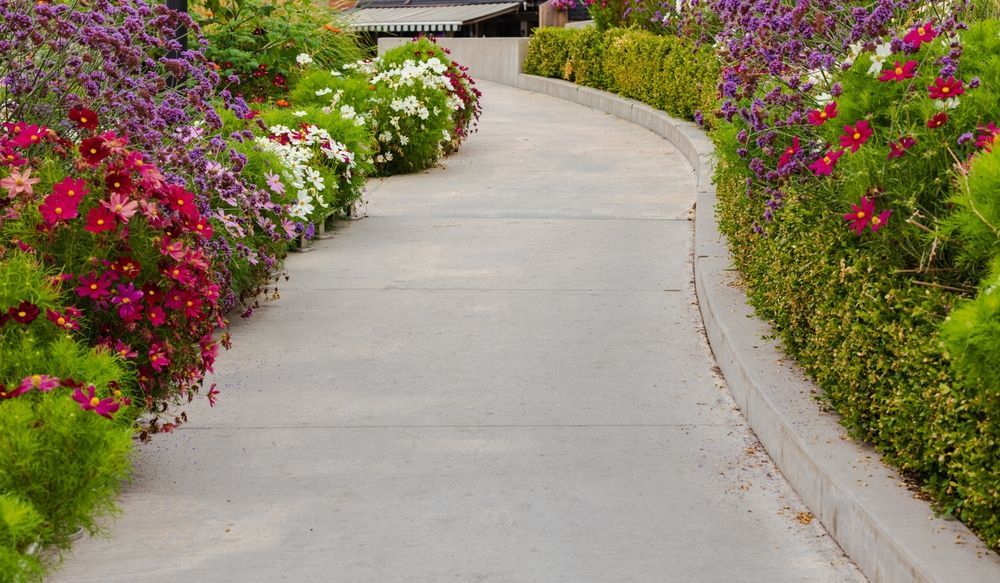 Pathway Lined With Colorful Flower Beds, Curving Through a Garden — Atherton Tableland Concreting in Yungaburra, QLD