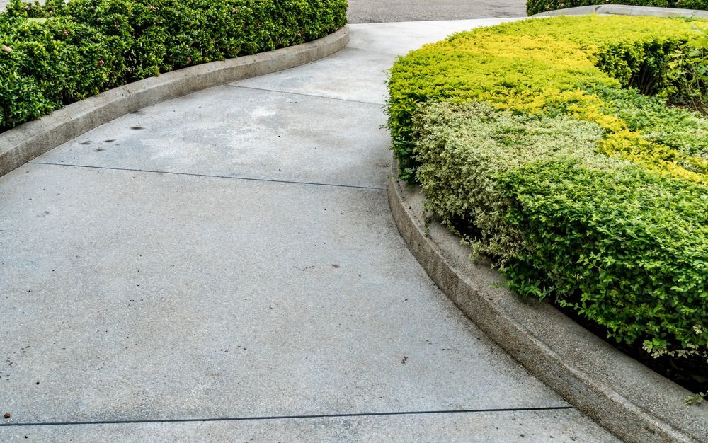 Stone Path Curving Between Green Hedges — Atherton Tableland Concreting in Yungaburra, QLD