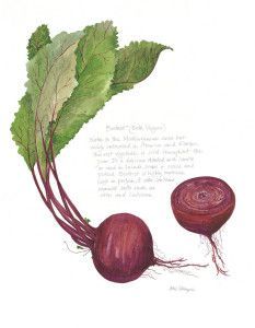 November Beets!