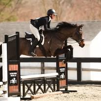 A rider on a dark horse jumping over a wooden fence in an outdoor equestrian arena.