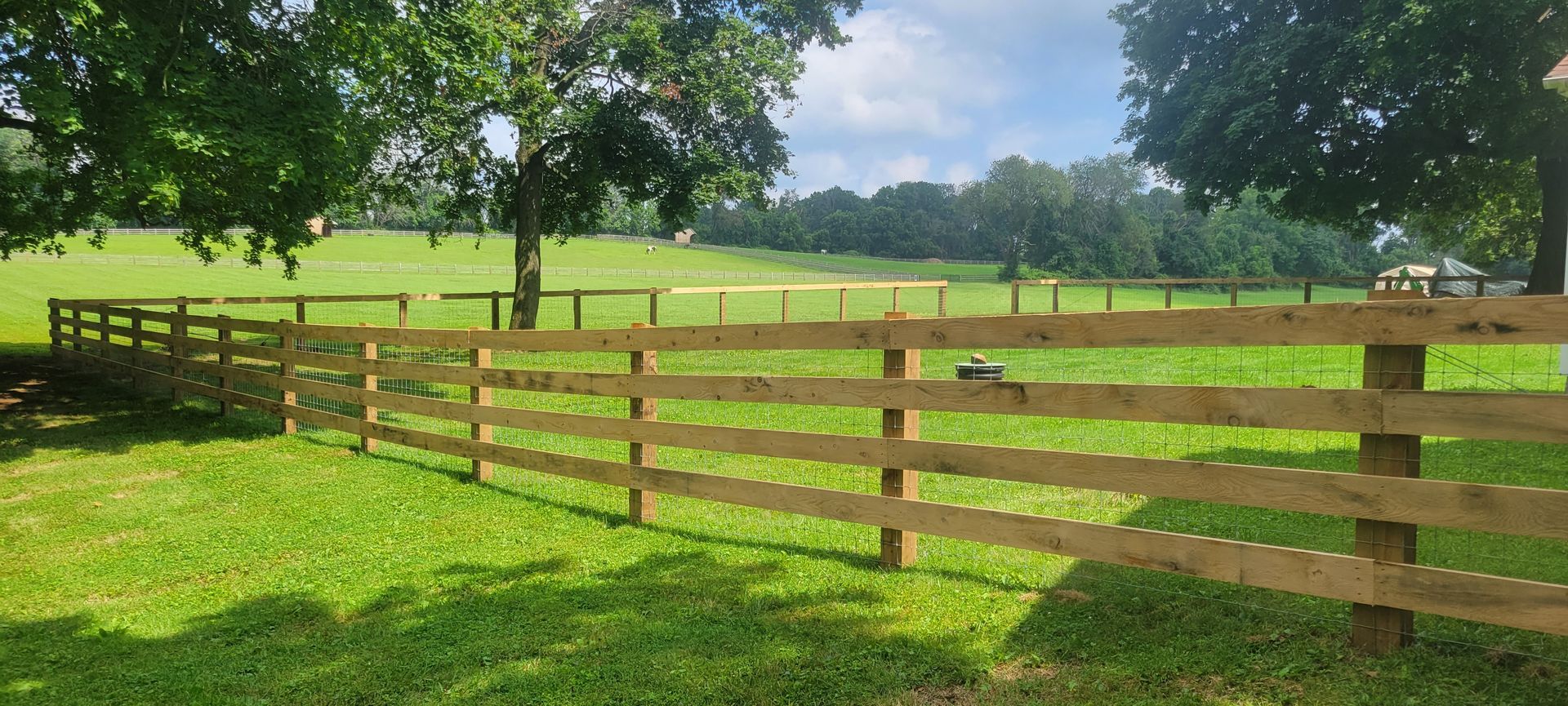 A wooden four-rail fence curves through a bright green pasture on a sunny day with trees in the background.