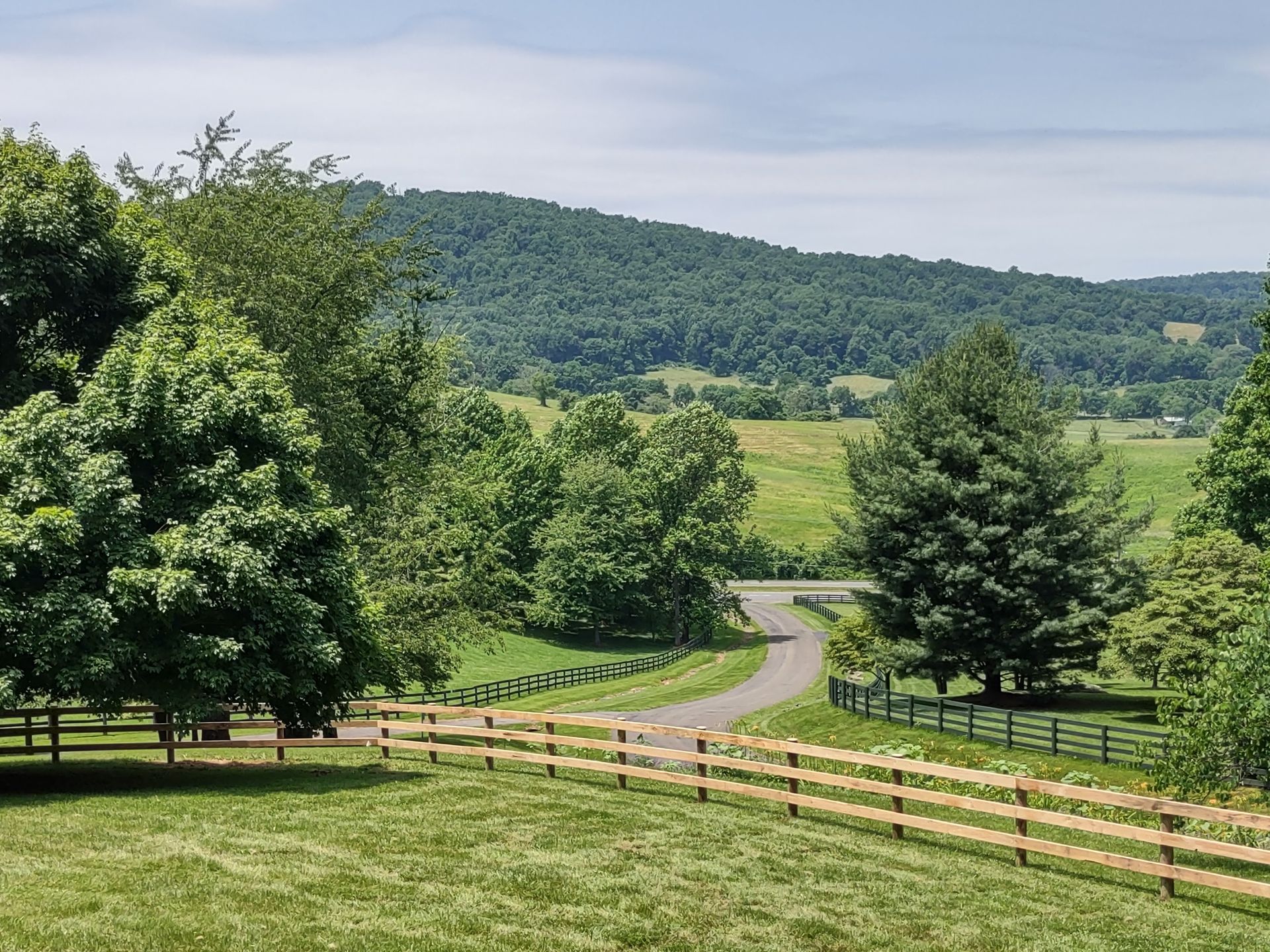 A dirt path winds through a green, grassy valley framed by wooden fences and surrounded by rolling, forested mountains.