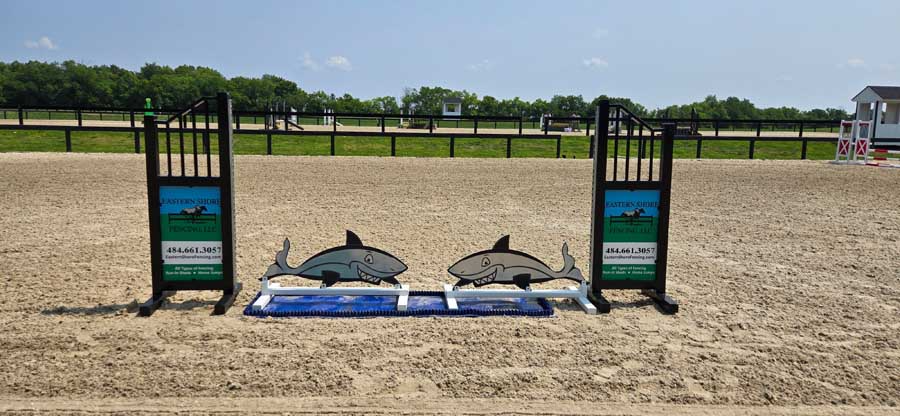 A horse jump on a dirt arena, featuring two shark-shaped wooden obstacles on a blue mat between black upright stands.