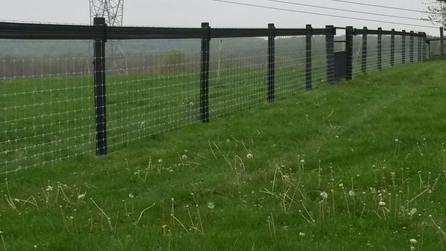 A long black wooden fence with wire mesh paneling running through a green, grassy field under an overcast sky.