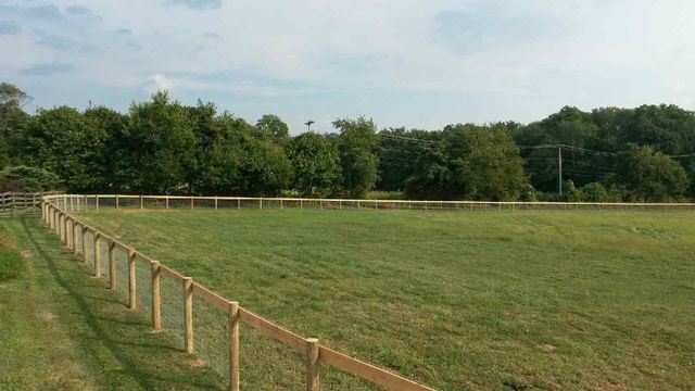 A wooden post-and-wire fence curves along the edge of a grassy field, backed by a line of mature green trees.