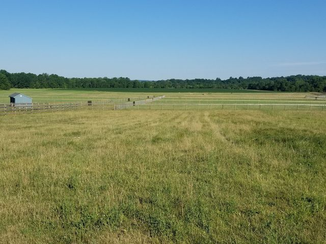 A sunlit pasture with a small shed, split-rail fencing, and a dense line of trees against a clear blue sky.