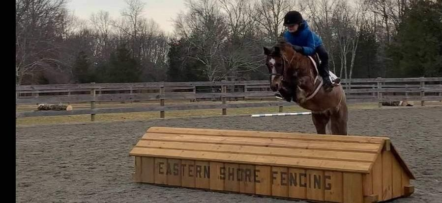 A person in a blue jacket jumping a horse over a wooden jump labeled