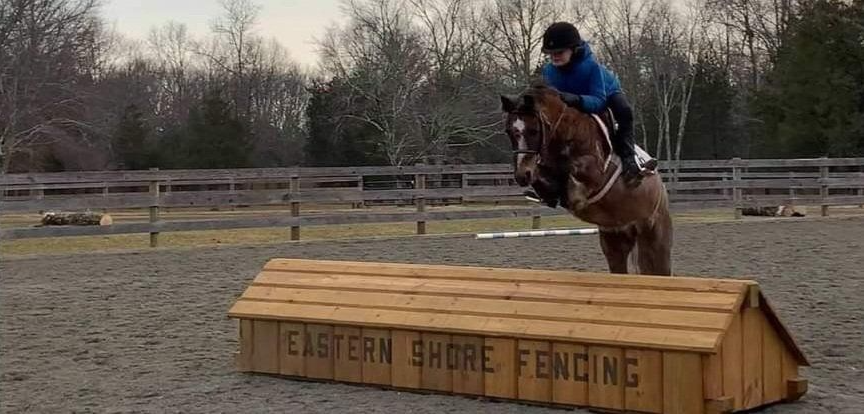A person rides a horse jumping over a wooden Eastern Shore Fencing obstacle in an outdoor riding arena.