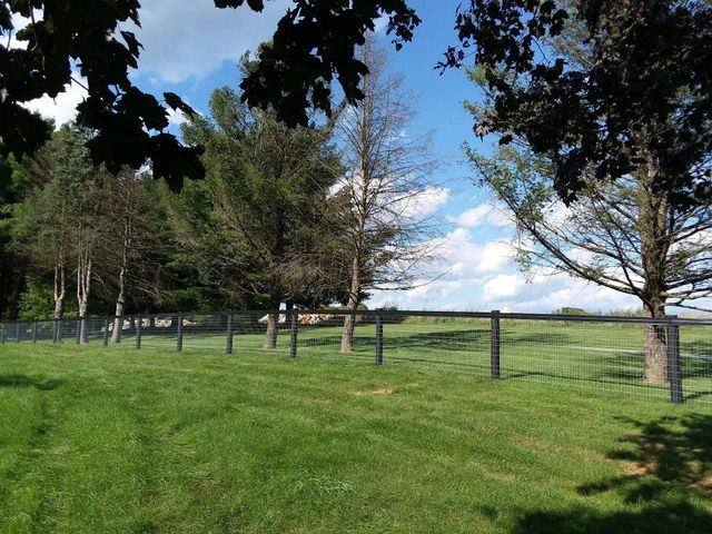 A black metal fence encloses a green, grassy field with several trees under a blue sky with white clouds.