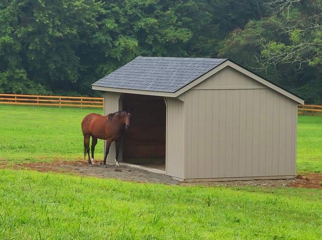 A brown horse stands inside a tan wooden run-in shed in a grassy field with a fenced background.