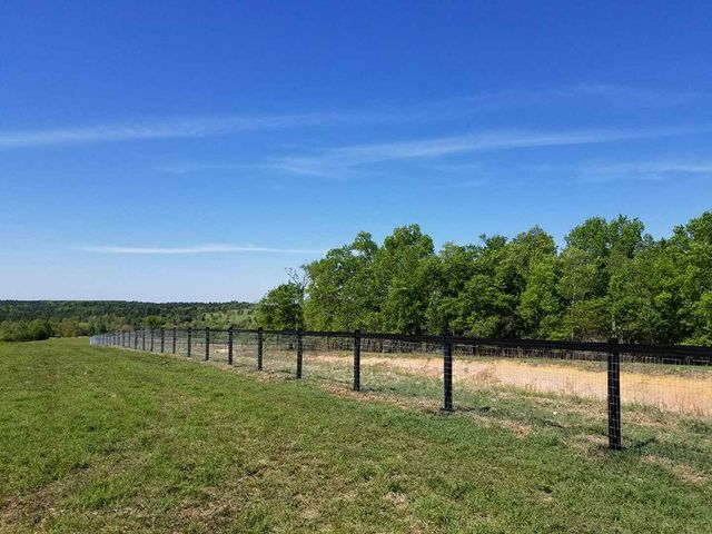 A black wire fence runs across a grassy field under a clear blue sky, with a lush green treeline in the distance.