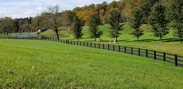 A green grassy pasture with a dark fence running alongside, trees in the background, and a small pond in the distance.