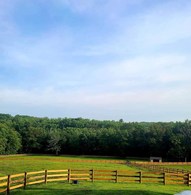 A lush green pasture enclosed by a wooden fence, bordered by a dense forest under a bright, partly cloudy sky.