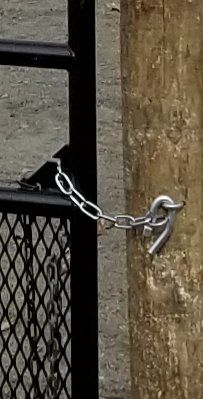 A silver metal chain loops around a black metal gate and is secured to a wooden post by a metal latch.