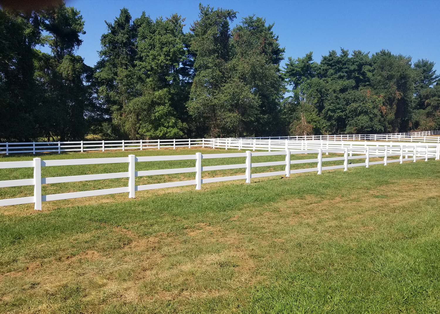 A long, three-rail white fence encloses a grassy field with a line of tall, leafy green trees in the background.