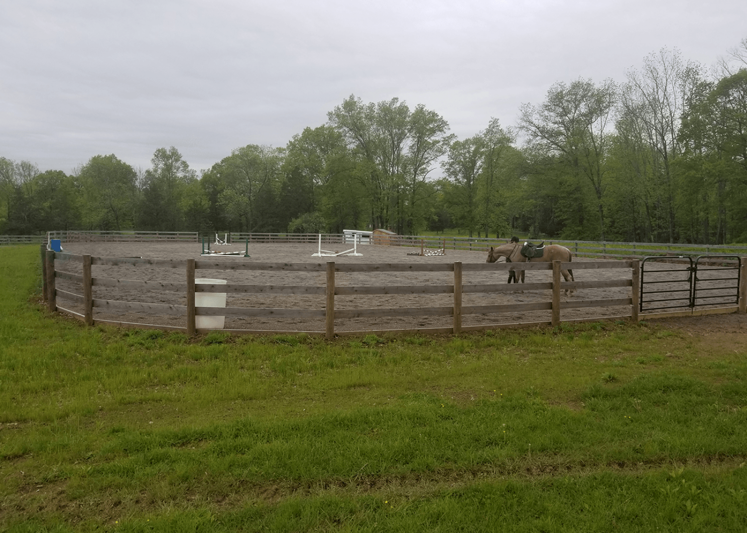 A round horse training pen with a dirt floor, wooden fence, and one horse standing inside on a grassy landscape.