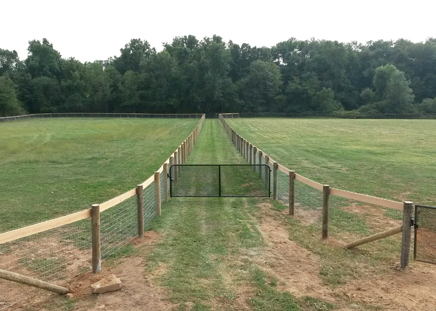 A fenced grassy path leads to a gate separating two large, green fields under an overcast sky.