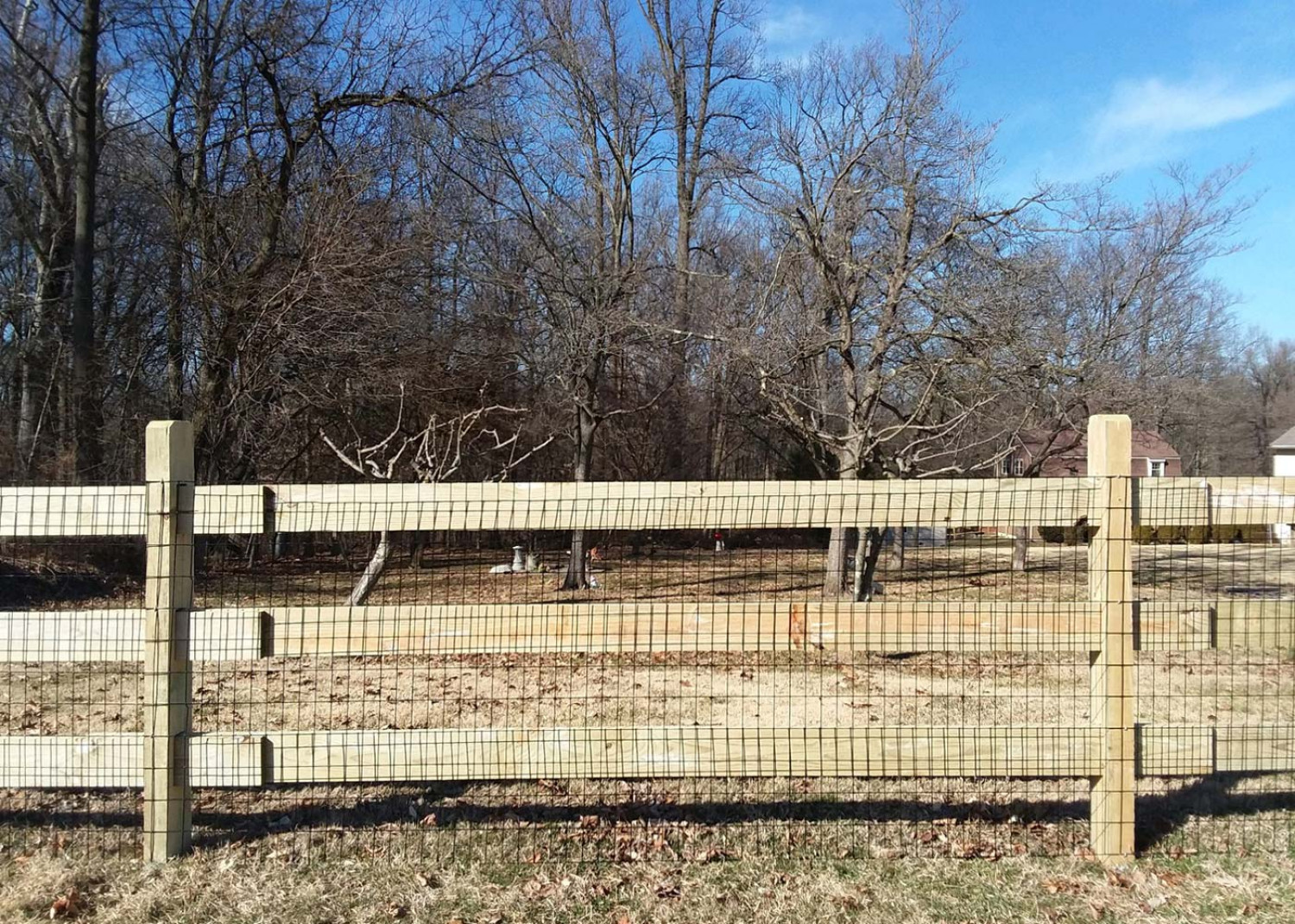 A wooden fence with three horizontal rails and wire mesh, set against a background of bare trees under a blue sky.
