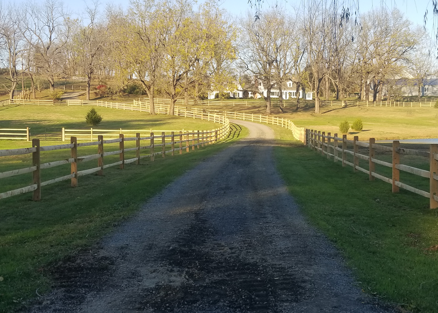 A gravel driveway leads through a grassy field lined with wooden fences toward a house surrounded by leafless trees.