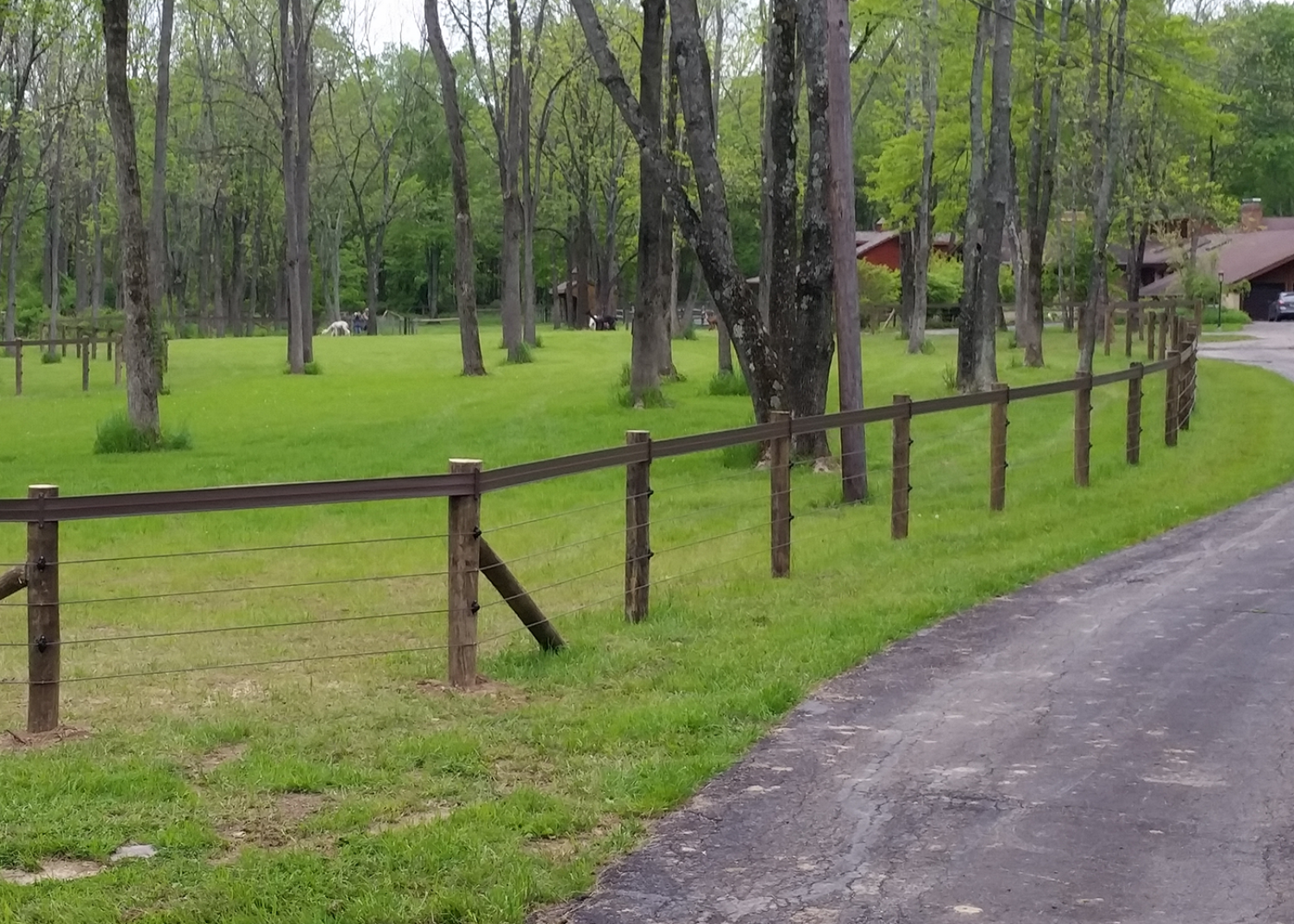 A wooden post-and-wire fence runs along a curving asphalt road, bordering a grassy parkland filled with tall trees.