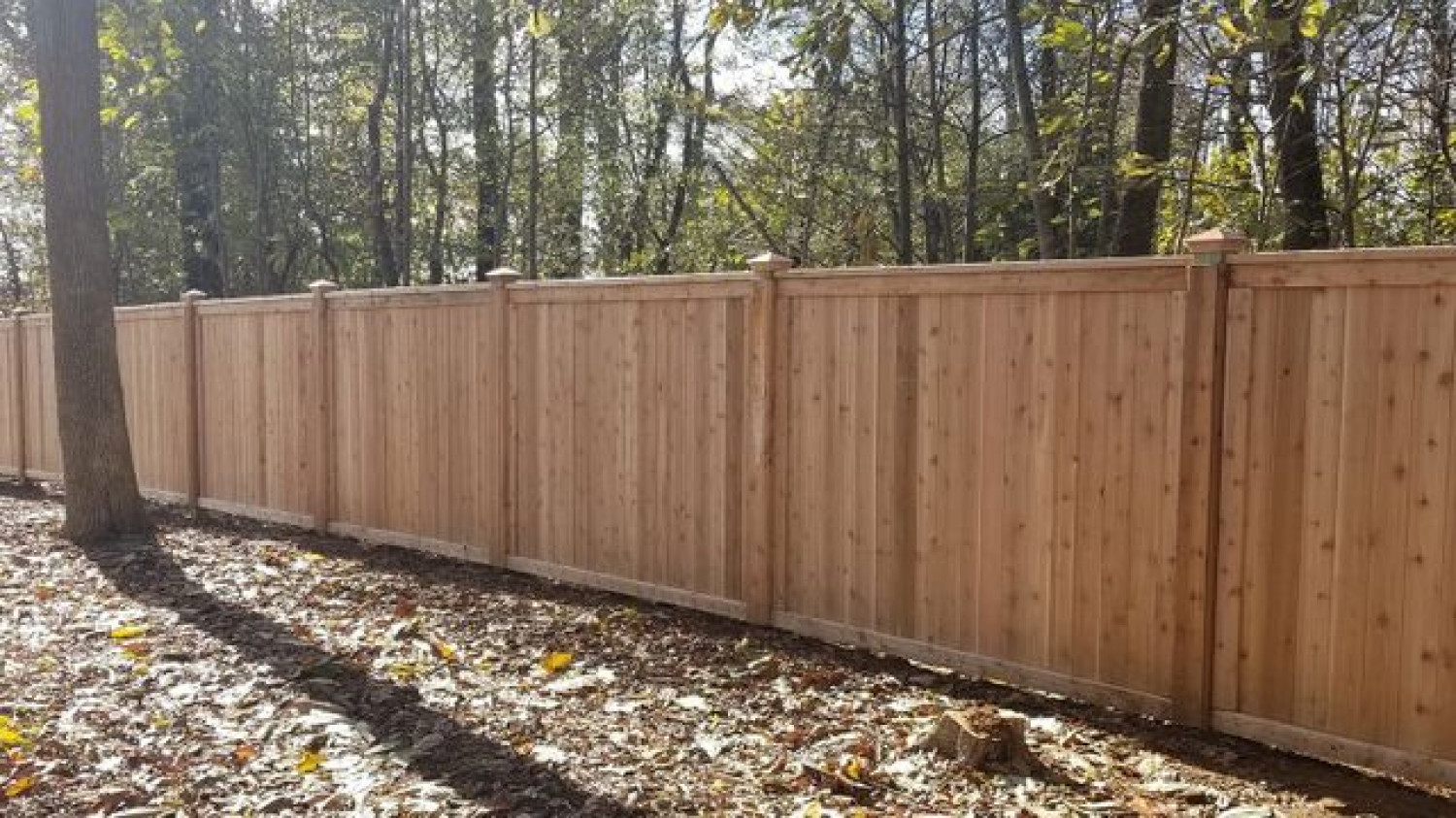 A long, wooden privacy fence with vertical panels and square posts, set against a backdrop of trees and fallen leaves.