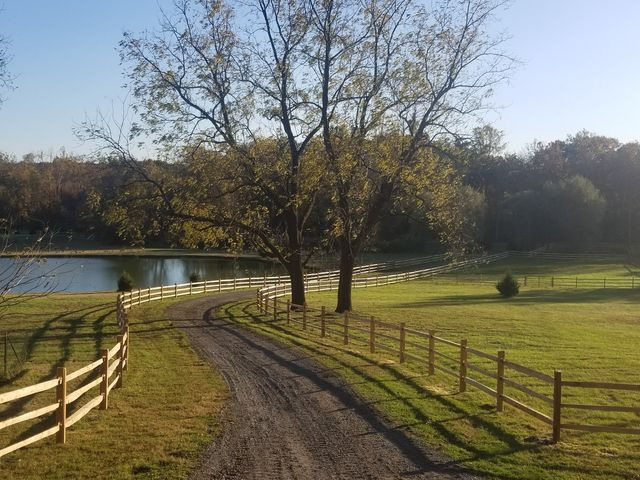 A dirt driveway curves through a green field toward a large tree and a small pond under a clear sky.