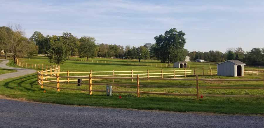A fenced pasture with a small grey shelter under a clear blue sky on a sunny day.