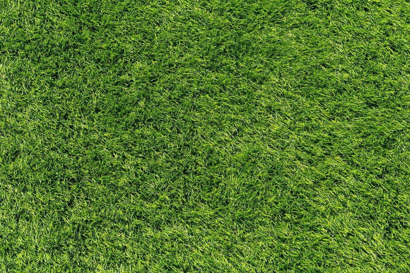 Sir Grange Turf — Currumbin QLD — Currumbin Garden Supplies Sir Grange Turf — Currumbin QLD — Currumbin Garden Supplies