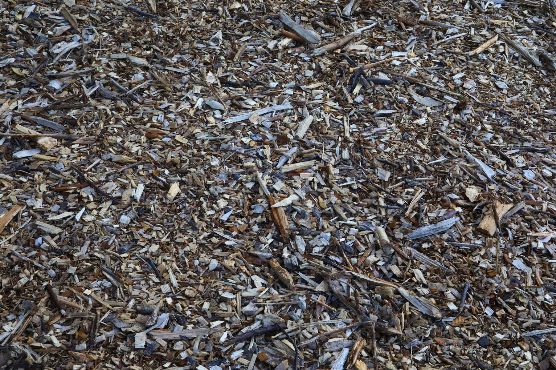 Hoop Pine Fines — Currumbin QLD — Currumbin Garden Supplies Hoop Pine Fines — Currumbin QLD — Currumbin Garden Supplies