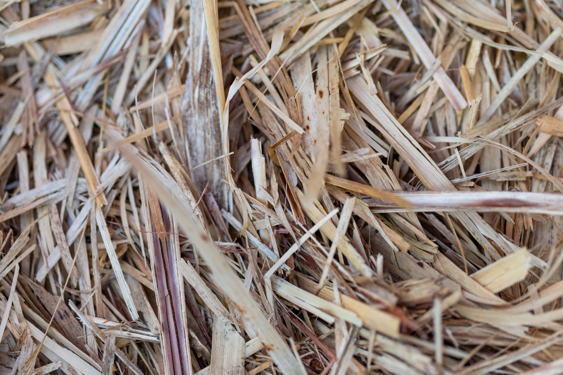 Sugar Cane Mulch — Currumbin QLD — Currumbin Garden Supplies Sugar Cane Mulch — Currumbin QLD — Currumbin Garden Supplies